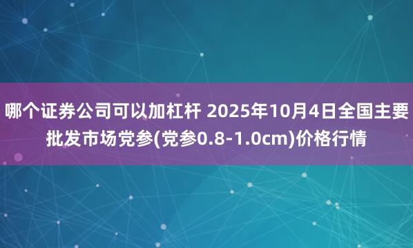 哪个证券公司可以加杠杆 2025年10月4日全国主要批发市场党参(党参0.8-1.0cm)价格行情